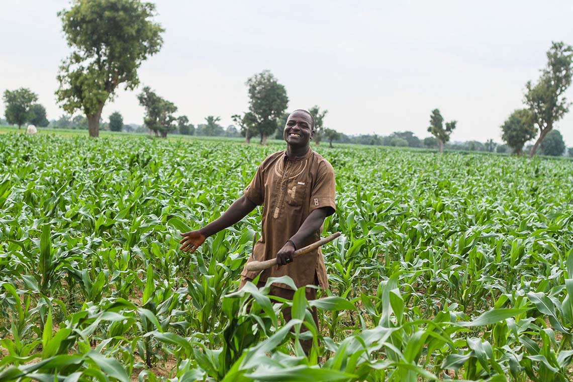 Agricultural producers in a field